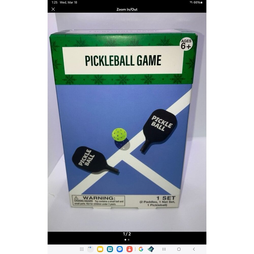 Table Top Festive Voice Pickleball Game